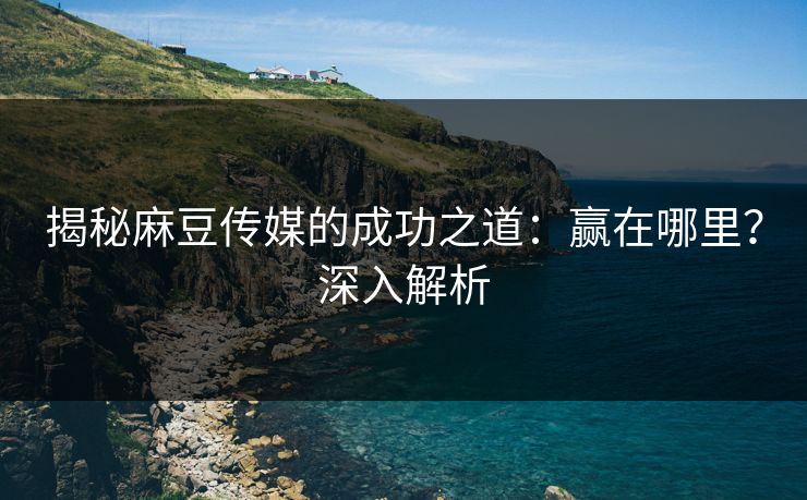 揭秘麻豆传媒的成功之道：赢在哪里？深入解析  第1张