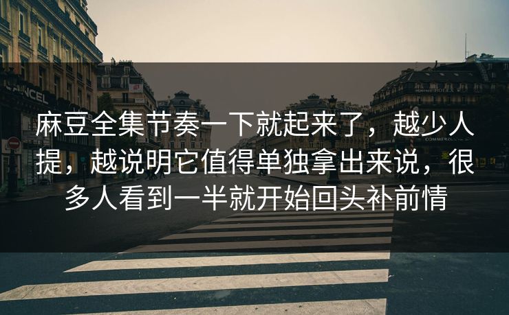 麻豆全集节奏一下就起来了，越少人提，越说明它值得单独拿出来说，很多人看到一半就开始回头补前情  第1张