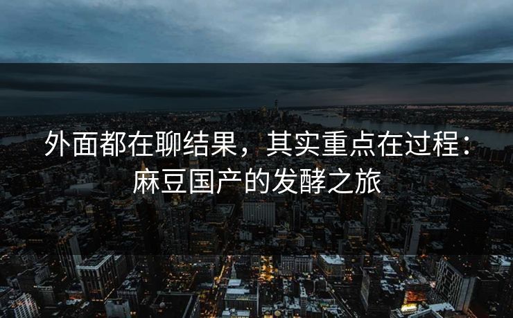 外面都在聊结果,其实重点在过程:麻豆国产的发酵之旅 第1张 外面都在聊结果,其实重点在过程:麻豆国产的发酵之旅 第1张
