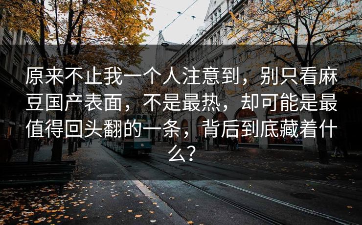 原来不止我一个人注意到，别只看麻豆国产表面，不是最热，却可能是最值得回头翻的一条，背后到底藏着什么？  第1张